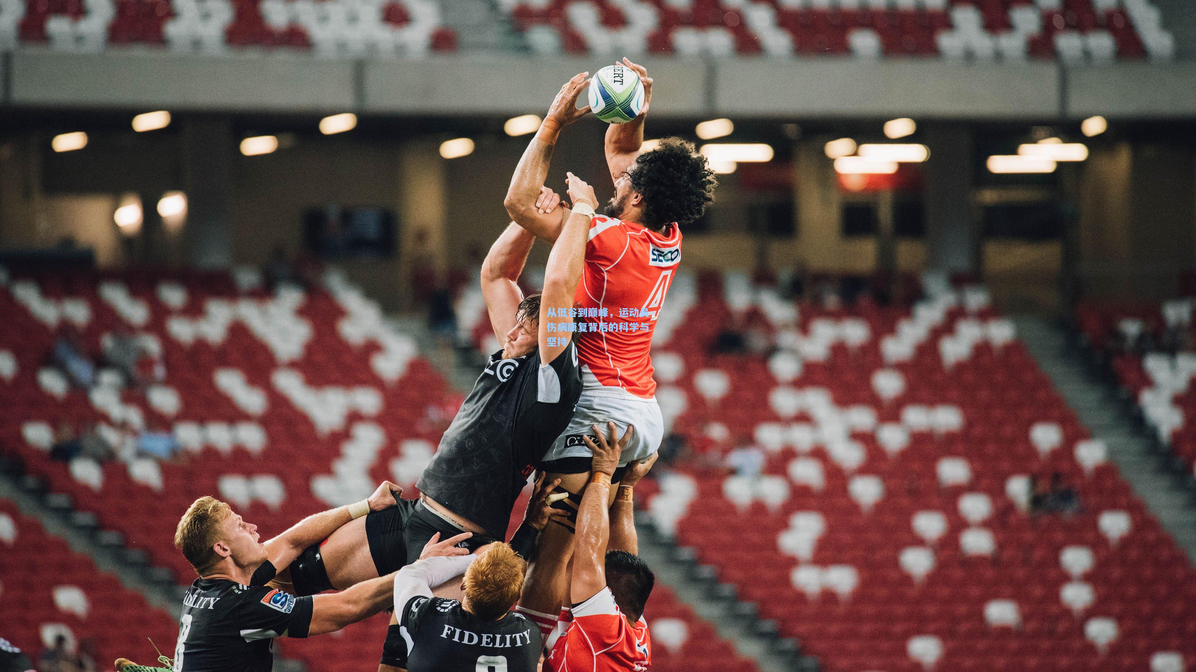 从低谷到巅峰，运动员伤病康复背后的科学与坚持